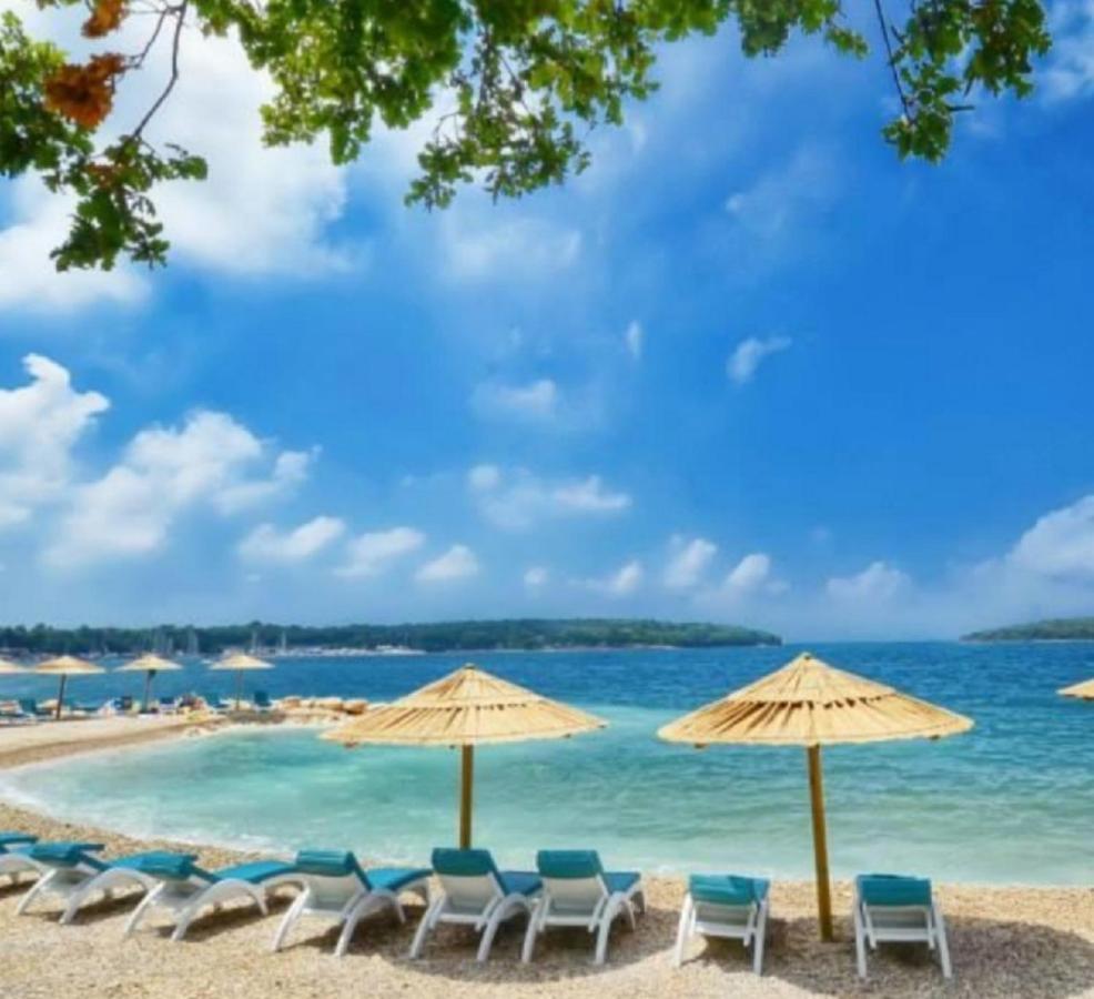 New!!! New Riva Luxury One - With Sunny Terrace & Big Garden Apartamento Poreč Exterior foto