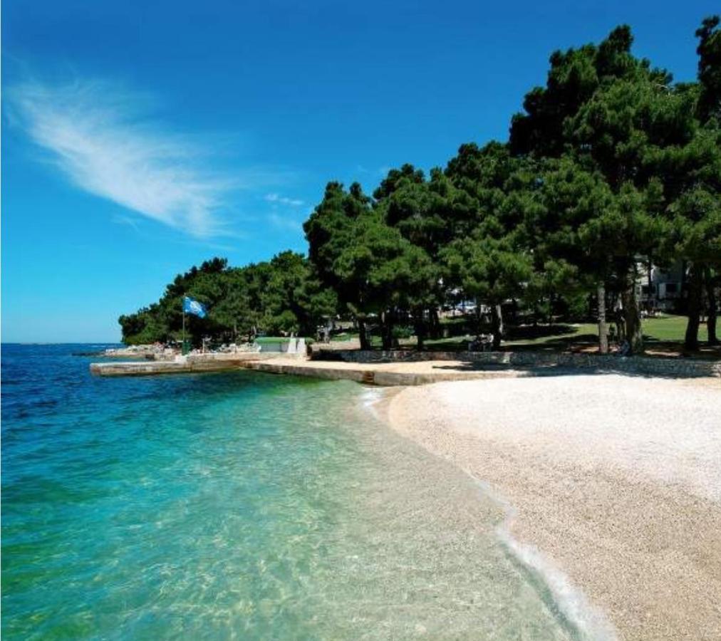 New!!! New Riva Luxury One - With Sunny Terrace & Big Garden Apartamento Poreč Exterior foto